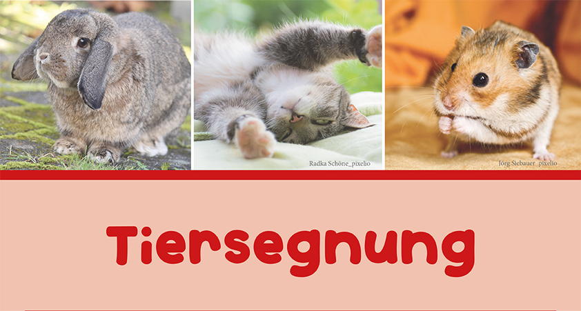 tiersegnungx